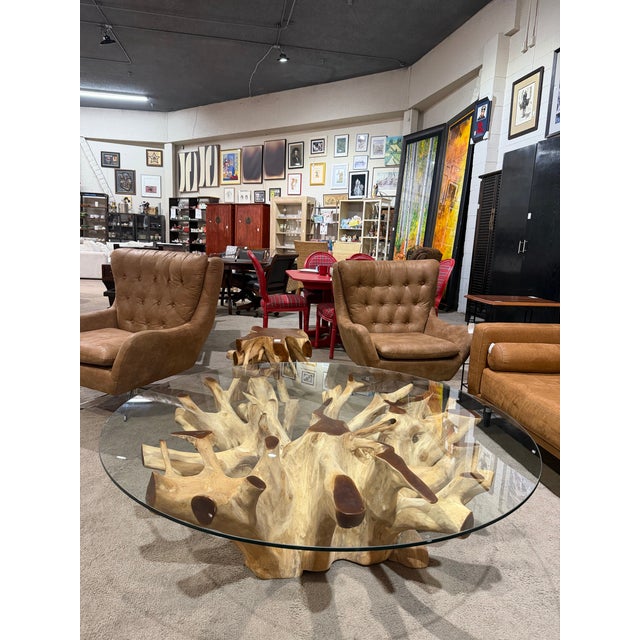 Late 20th Century English Elm “New Orleans” Teak Root Coffee Table With Round Glass Top For Sale - Image 4 of 7