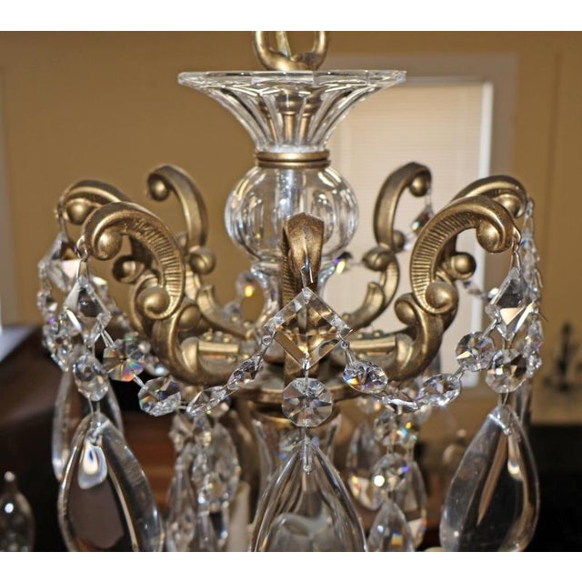 Schonbek La Scala 5007 8 Light Gold Color Crystal Chandelier For Sale - Image 17 of 18