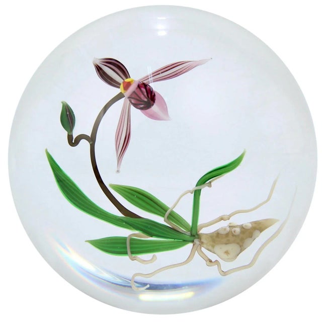 Chris Buzzini Artist-Proof Orchid Flower and Roots Art Glass Paperweight For Sale - Image 13 of 13