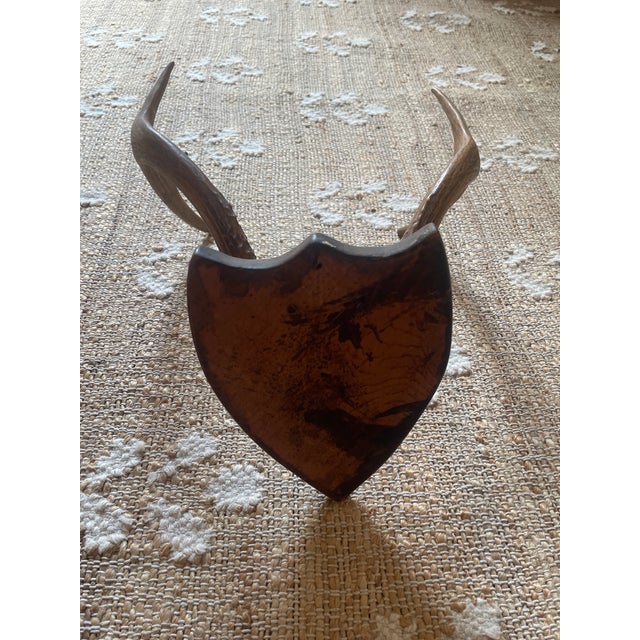 1948 Wall Hanging Vintage Antler Wall Hanging Plaque Mount With Velvet For Sale - Image 10 of 11