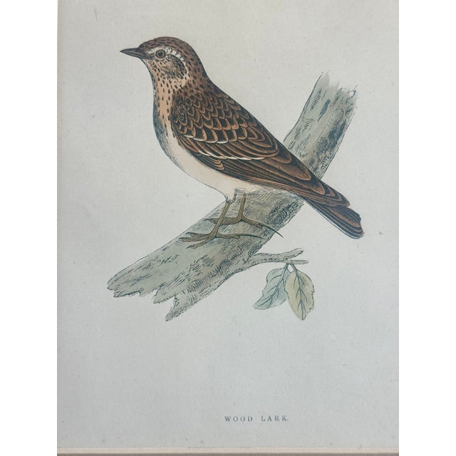 English Lark Sparrow Nest & Egg, Original Engraving, C. 1880 For Sale - Image 3 of 4