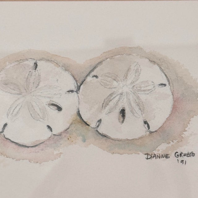 Signed "Dianne Grusso '91." Original Sand Dollar Watercolor Still Life For Sale In Tampa - Image 6 of 11