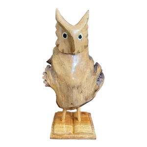 Vintage Hand Carved Parasite Wood Owl