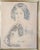 We are selling this fine Victorian pencil drawing of a Young girl with her King Charles Spaniel. The pencil portrait is...