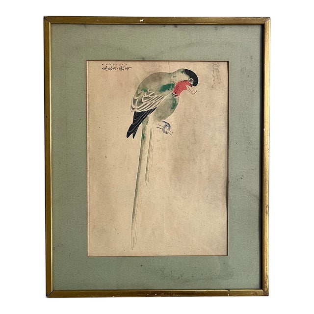 Antique 19th Century Chinese Watercolor & Ink Painting of a Parrot For Sale