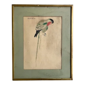 Antique 19th Century Chinese Watercolor & Ink Painting of a Parrot