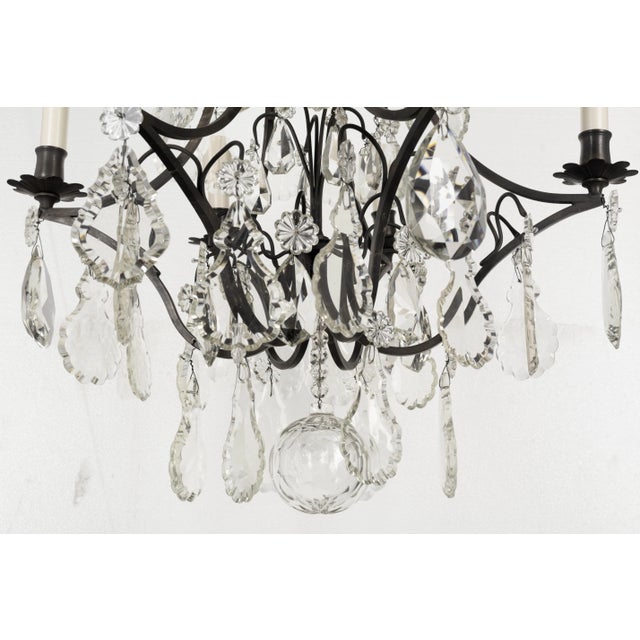 Early 20th Century French Louis XV Style Crystal Chandelier For Sale - Image 5 of 13