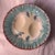 This is a 19th-century French majolica asparagus plate featuring a turquoise and cream glaze with molded relief asparagus...