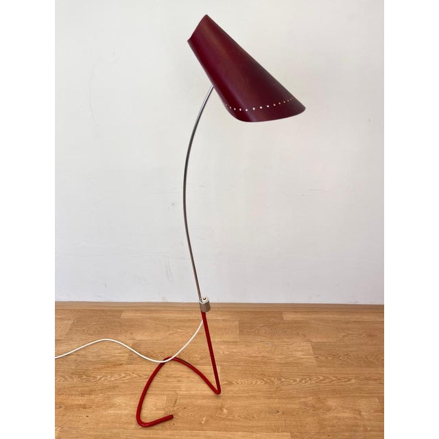 Mid-Century Modern Organic Floor Lamp by Josef Hůrka, 1950 For Sale - Image 3 of 12
