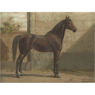O. Eerelman, Illustration of the East Prussian Horse, 1898, Print For Sale