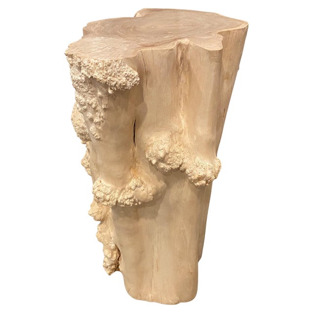 Andrianna Shamaris Rare Bleached Teak Root Pedestal For Sale - Image 15 of 18