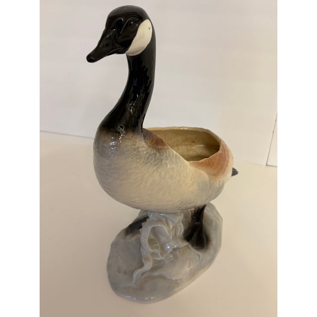 This canadian goose has been in my possession since the 1980's. I am unable to tell you where I purchased it from, but I...