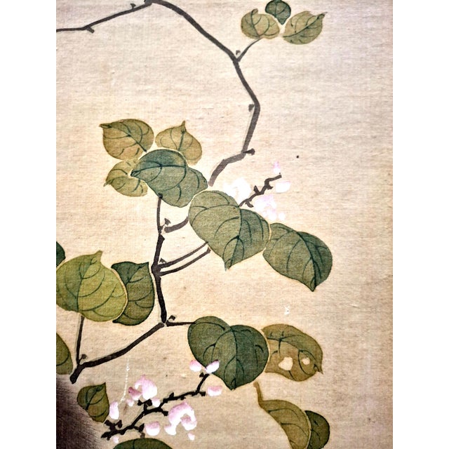 Beige Japanese Maternal Macaque Painting by Mori Sosen (1747-1821) For Sale - Image 8 of 11
