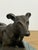 Vintage Bronze Sculpture of a Lying Greyhound Dog on a Marble Base For Sale In Philadelphia - Image 6 of 8