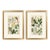 Pair of Original Hand-Colored Botanical Engravings From Dr. David Dietrich's Flora Universalis, C. 1850 | Custom Framed Antique Botanical Prints Set B For Sale