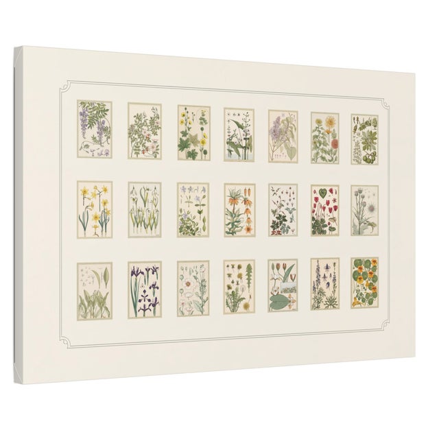 Art Nouveau Atelier Aria Lumae Eugene Grasset Maurice Pillard Verneuil Art Nouveau Botanical Specimen Grid Board Print 60 X 40 For Sale - Image 3 of 17