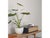 Wood Krobo Bench in Oak from Bruksbo, 1960s For Sale - Image 7 of 14