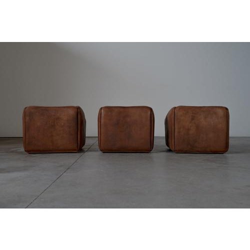 Animal Skin Vintage Swiss DS47 Lounge Chair from de Sede, 1970s For Sale - Image 7 of 17