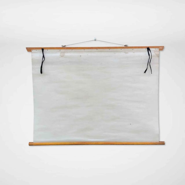 Vintage School Wall Chart, 1950s For Sale - Image 6 of 8