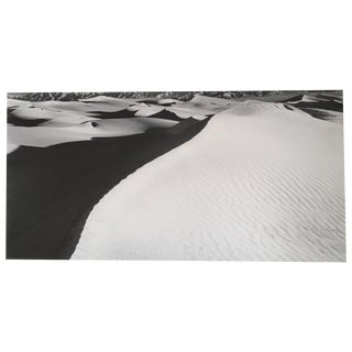 Signed California Dune Ridge Photograph by Neil Lawner For Sale