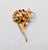 Napier Vintage 1968 Signed Napier Goldtone 3d Thistle Brooch For Sale - Image 4 of 8