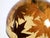 Large Italian Resin Pendant Lamp with Embedded Maple Leaves, 1970s For Sale - Image 15 of 18