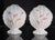 This pair of Italian ceramic cache pots is modeled as large scallop shells on small shell-form feet, finished in a crisp...