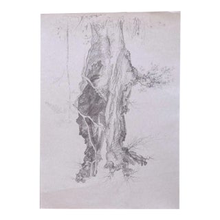 André Roland Brudieux, Tree, Pencil Drawing, 1970s For Sale