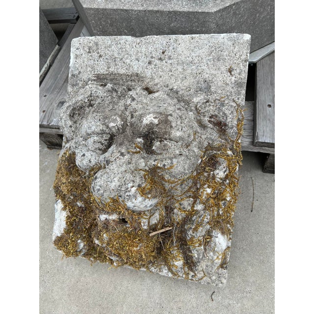 Stone Authentic 19th Century French Carved Stone Lion Fountain Element For Sale - Image 7 of 17