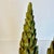 Mid 20th Century Mid-Century Neoclassical Hollywood Regency Greek Laurel Tree Topiaries - A Pair For Sale - Image 5 of 17