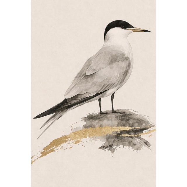 Not Yet Made - Made To Order Coastal Tern Study, Minimalist Nautical Art Print, 24″ × 36″ Reproduction For Sale - Image 5 of 10