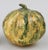 19th c. Continental pottery figure of a ripening squash naturalistically molded and decorated in shades of green and...