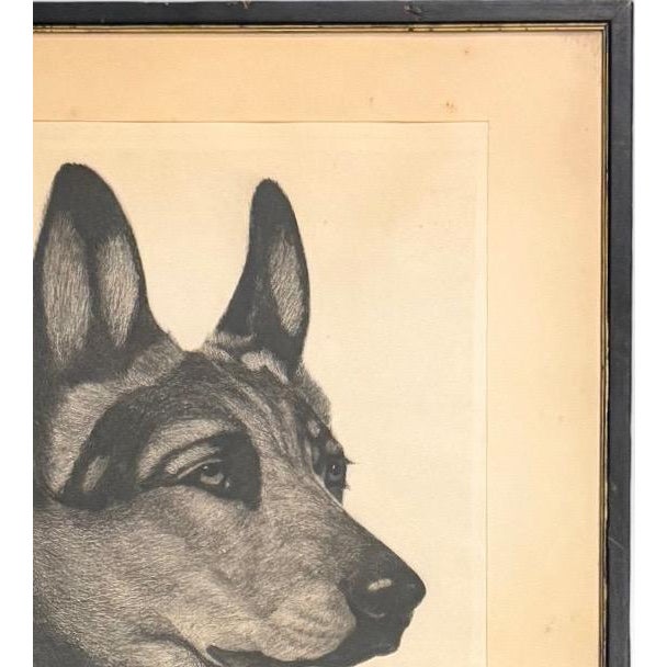 Black Limited Edition Bert Cobb Signed Drypoint Etching German Shepherd Luchs 33 of 75 For Sale - Image 8 of 12