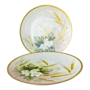 Vintage R S Reinhold Schlegelmilch Fine Porcelain Germany Decorative Plates Set of 2
