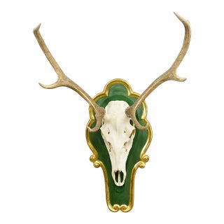 Large 8 Pointer Red Deer Trophy on Wooden Plaque For Sale