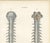 Hirschfeld and Leveille, Spinal Nerve Roots Along the Whole Cord, Hirschfeld Double Folding Plate, 1866, Paper For Sale - Image 3 of 12