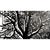 1990s Fine Art With Horse, Trees, and Moon by Expert Swiss Paper Cutting Artist Bruno Weber For Sale - Image 4 of 6