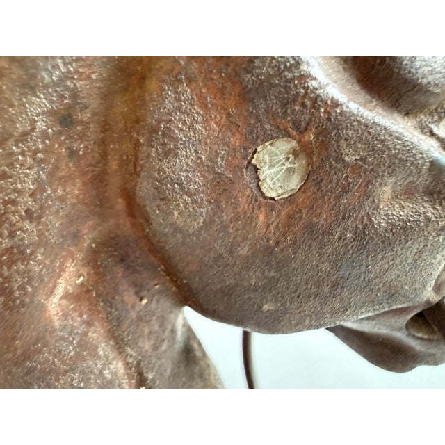 Antique Victorian Cast Iron Horse Head Sculpture For Sale - Image 6 of 8
