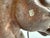 Antique Victorian Cast Iron Horse Head Sculpture For Sale - Image 6 of 8