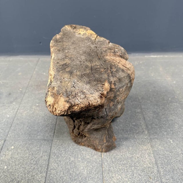 Head Carved from Wooden Trunk, 1950s For Sale - Image 12 of 16