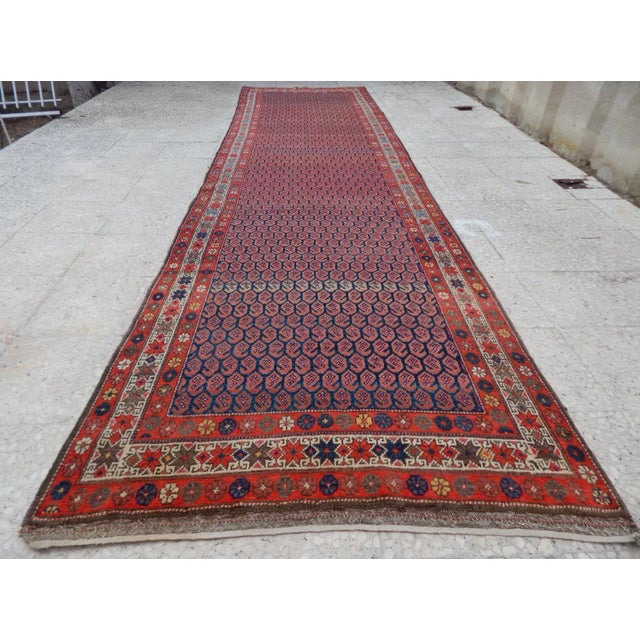 Large Kurdish Turkish Runner For Sale In Philadelphia - Image 6 of 6