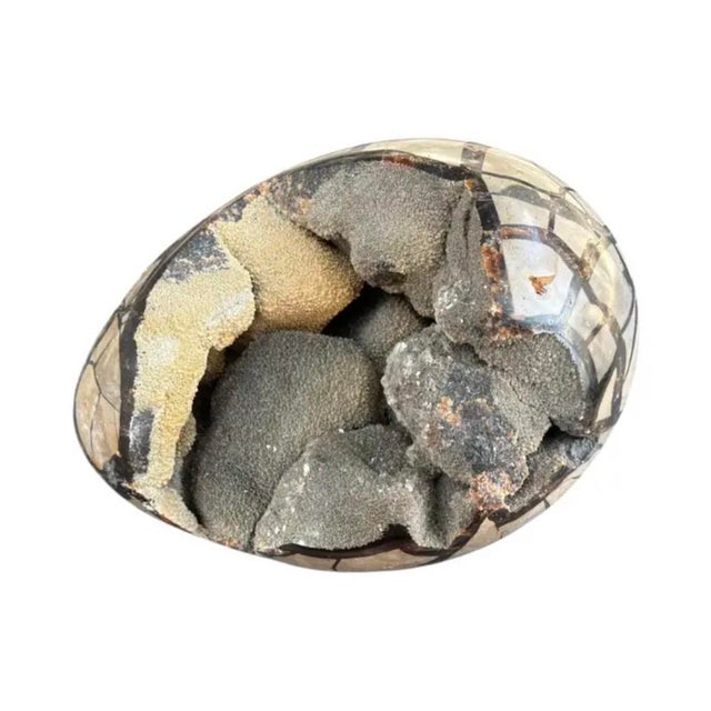 Septarian "Egg" Geode From the Cretaceous Period For Sale In Tampa - Image 6 of 8
