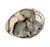 Septarian "Egg" Geode From the Cretaceous Period For Sale In Tampa - Image 6 of 8