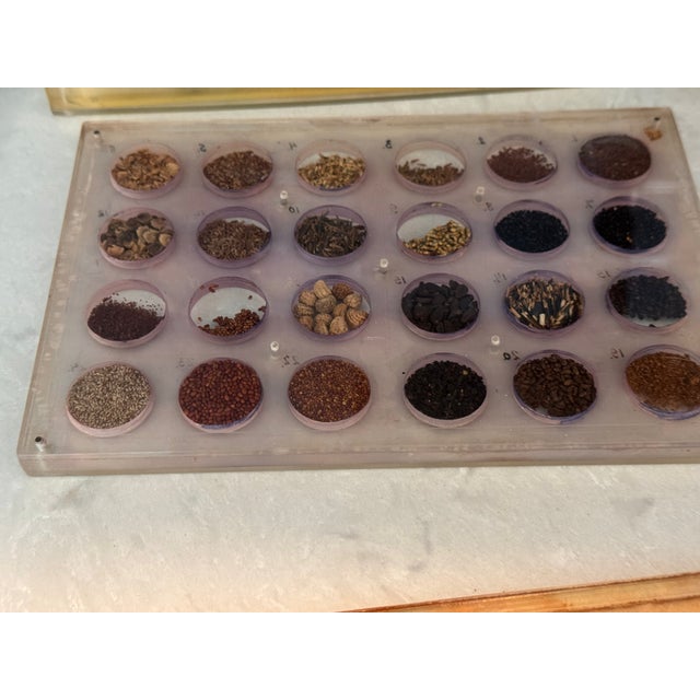Vintage Lucite Scientific Display Case Seed Collection + Specimen Tray Notes For Sale - Image 13 of 17