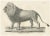 Majestic Barbary Lion Standing in Profile, 1836, Lithograph For Sale - Image 11 of 11