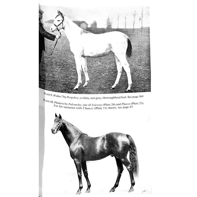 "Bloodstock Breeding" 1958 Leicester, Sir Charles For Sale - Image 4 of 6