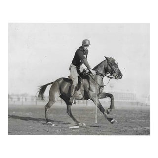 1932 Harvard Polo Team Equestrian Photograph For Sale