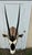 Huge African Gemsbok Oryx Antelope Shoulder Mount Taxidermy South Africa For Sale - Image 16 of 17