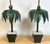 Pair of Hollywood Regency Polychromed Tole Palm Tree Topiary Lamps, Circa 1970s For Sale - Image 14 of 14