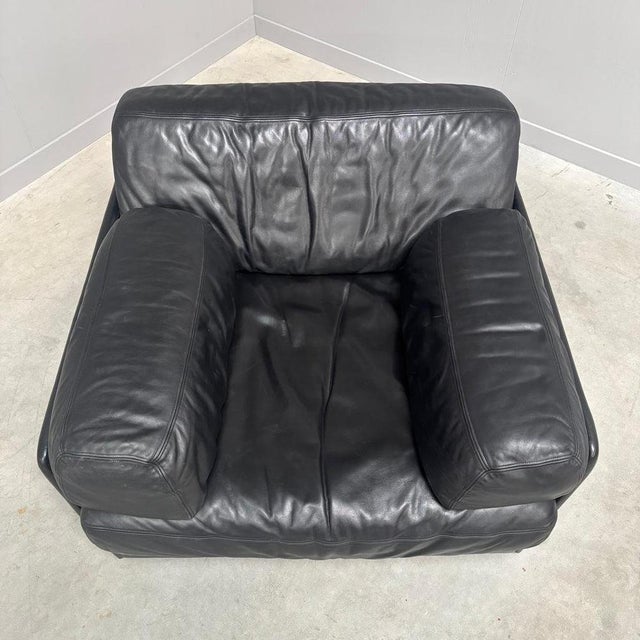 Vintage DS76 Chair from de Sede, 1970s For Sale - Image 4 of 17